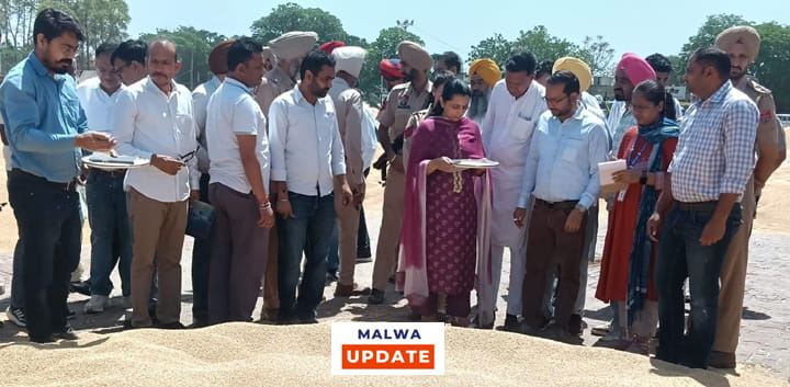 ਗੜੇਮਾਰੀ ਤੇ ਭਾਰੀ ਮੀਂਹ ਕਾਰਨ ਪ੍ਰਭਾਵਿਤ ਫਸਲ ਦੀ ਖਰੀਦ ਵਿਚ ਕਿਸਾਨਾਂ ਦਾ ਵਿੱਤੀ ਨੁਕਸਾਨ ਨਹੀਂ ਹੋਣ ਦਿੱਤਾ ਜਾਵੇਗਾ: ਡਿਪਟੀ ਕਮਿਸ਼ਨਰ ਨਵਜੋਤ ਕੌਰ