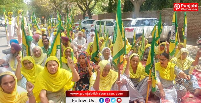 ਕਿਸਾਨ ਜਥੇਬੰਦੀ ਉਗਰਾਹਾ ਵੱਲੋਂ ਕਣਕ ਦੇ ਖਰੀਦ ਪ੍ਰਬੰਧਾਂ ਨੂੰ ਲੈ ਕੇ ਡੀਸੀ ਦਫ਼ਤਰ ਅੱਗੇ ਦਿੱਤਾ ਧਰਨਾ